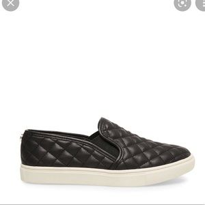 steve madden sneakers